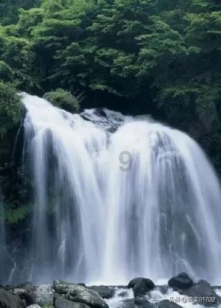 小猫钓鱼游戏龙王版有船